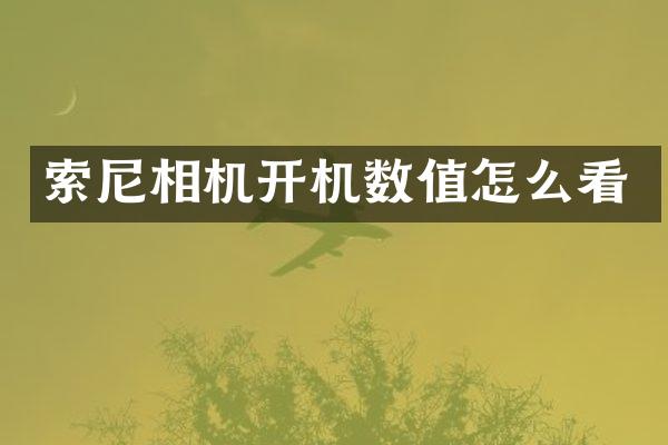 相机开机数值怎么看