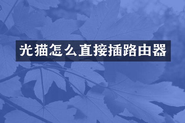 光猫怎么直接插路由器