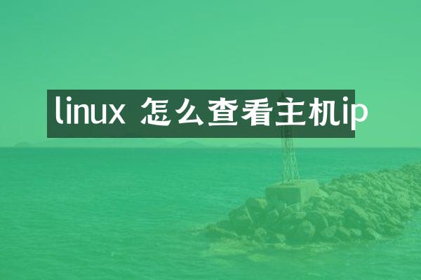 linux 怎么查看主机ip