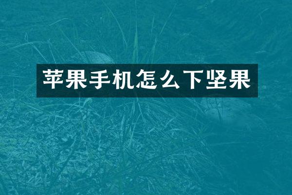 苹果手机怎么下坚果