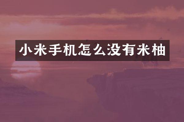 小米手机怎么没有米柚