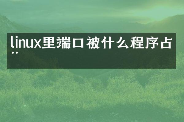 linux里端口被什么程序占用