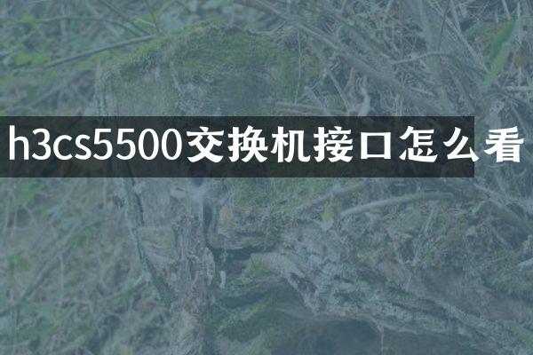 h3cs5500交换机接口怎么看