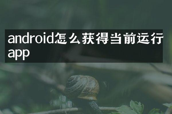 android怎么获得当前运行的app