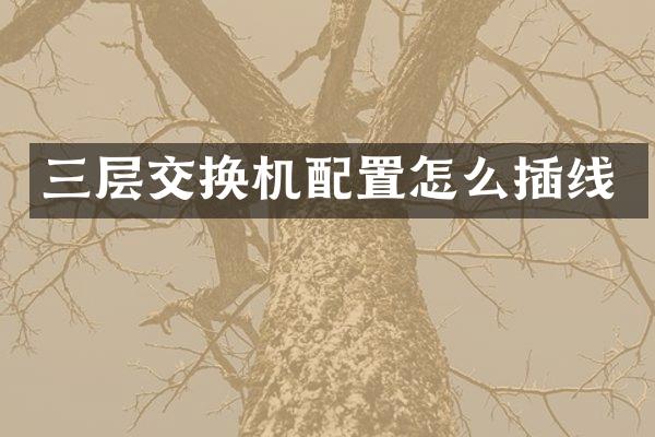 三层交换机配置怎么插线