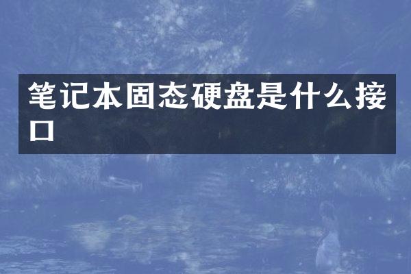 笔记本固态硬盘是什么接口