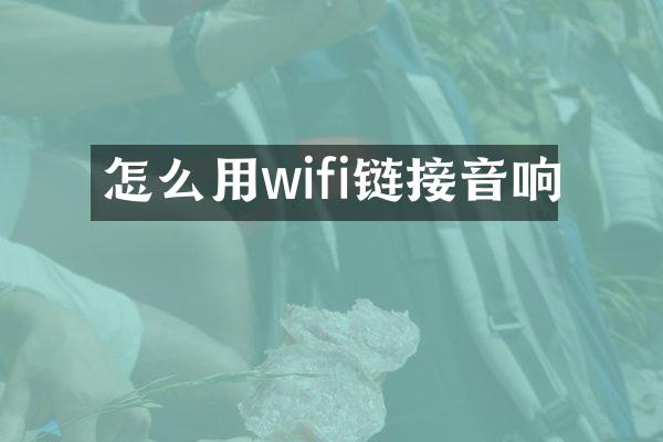怎么用wifi链接音响