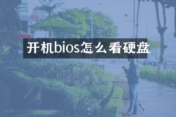 开机bios怎么看硬盘