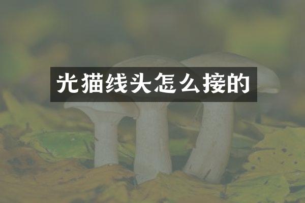 光猫线头怎么接的
