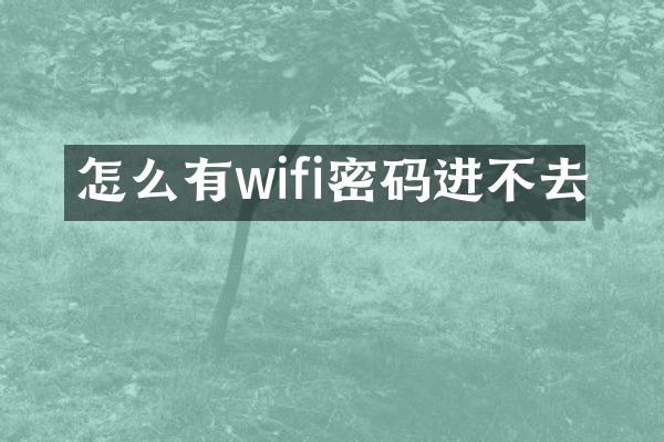 怎么有wifi密码进不去