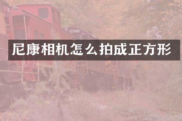 尼康相机怎么拍成正方形