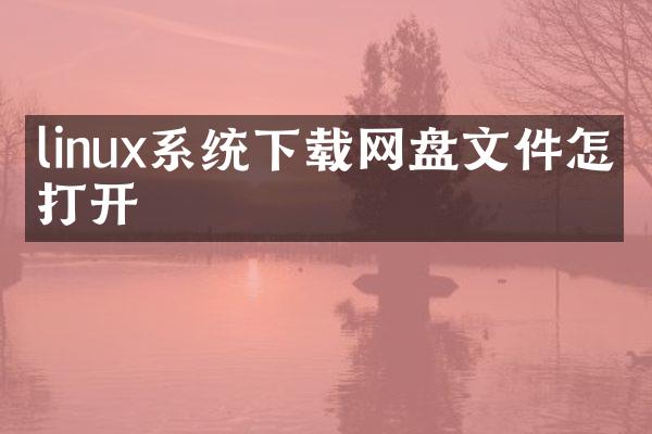 linux系统下载网盘文件怎么打开