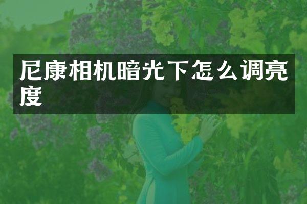 尼康相机暗光下怎么调亮度