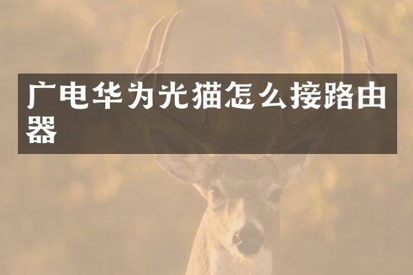 广电华为光猫怎么接路由器