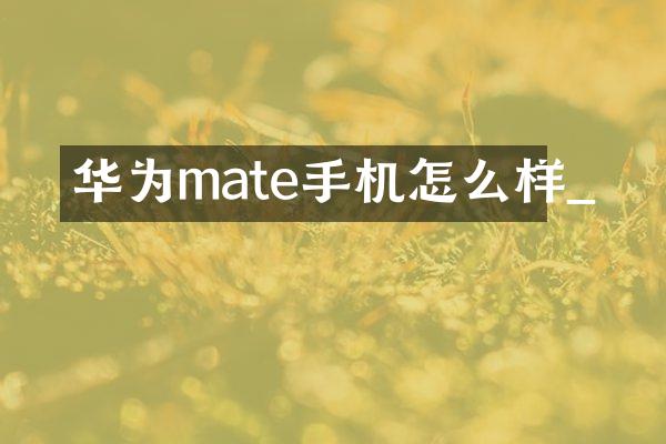 华为mate手机怎么样_