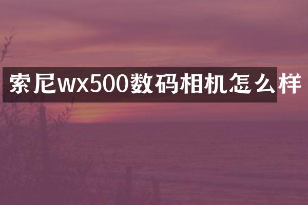 wx500数码相机怎么样