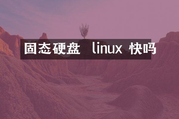 固态硬盘  linux 快吗