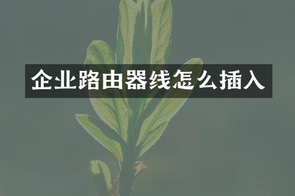 企业路由器线怎么插入