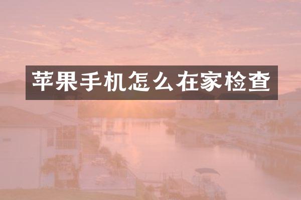 苹果手机怎么在家检查