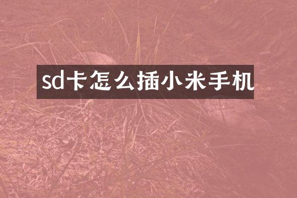 sd卡怎么插小米手机