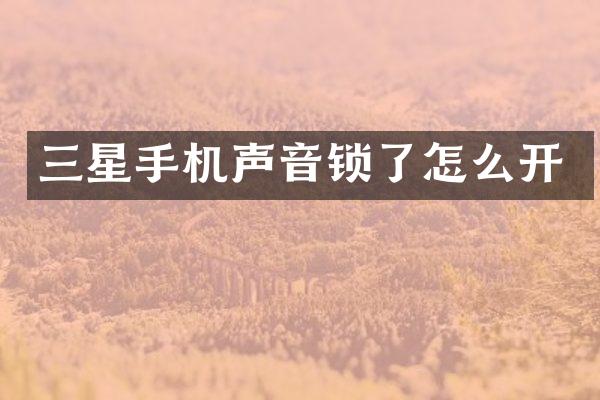 三星手机声音锁了怎么开
