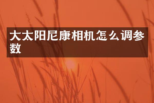 大太阳尼康相机怎么调参数