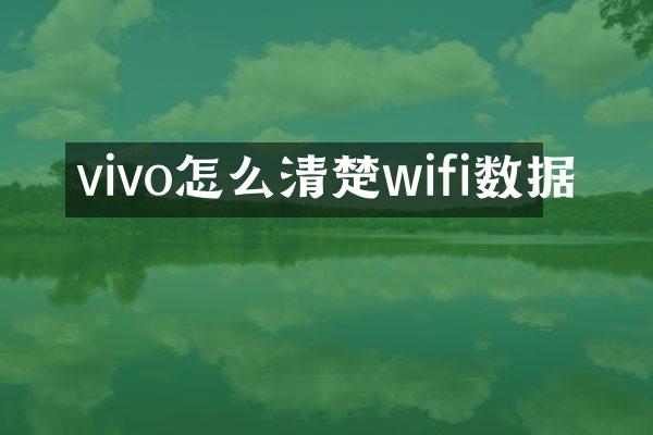vivo怎么清楚wifi数据