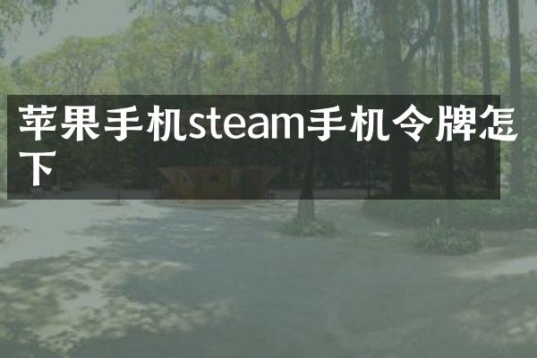 苹果手机steam手机令牌怎么下