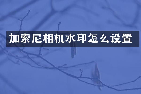 加相机水印怎么设置