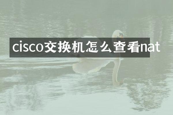 cisco交换机怎么查看nat