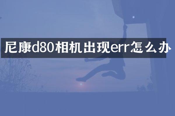尼康d80相机出现err怎么办