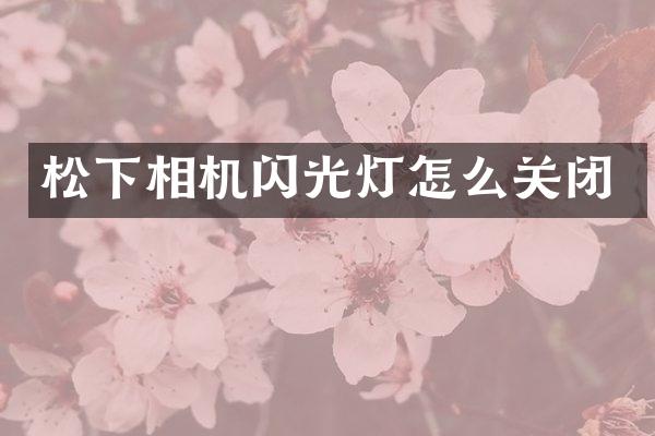 相机闪光灯怎么关闭