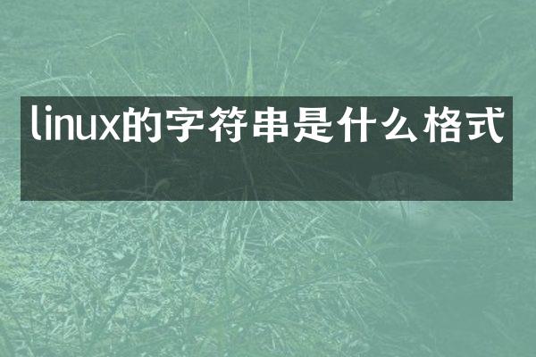 linux的字符串是什么格式的