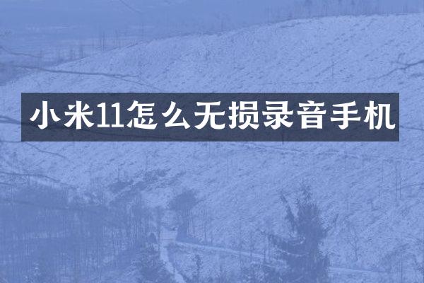 小米11怎么无损录音手机