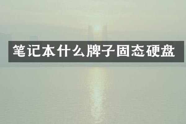 笔记本什么牌子固态硬盘