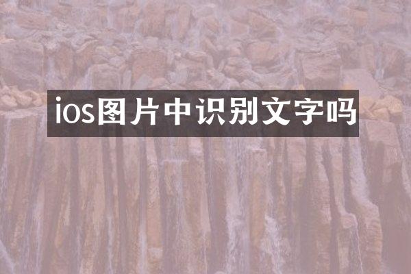 ios图片中识别文字吗