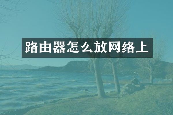 路由器怎么放网络上
