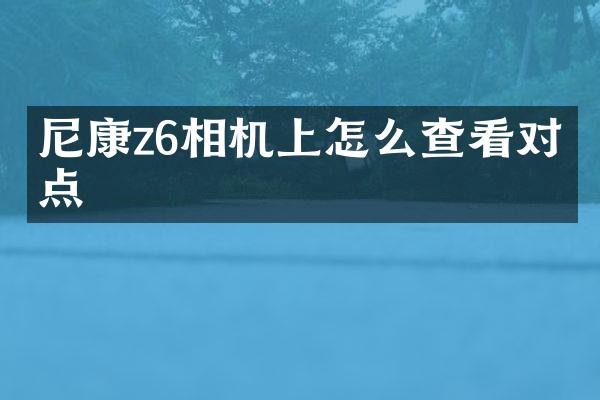 尼康z6相机上怎么查看对焦点