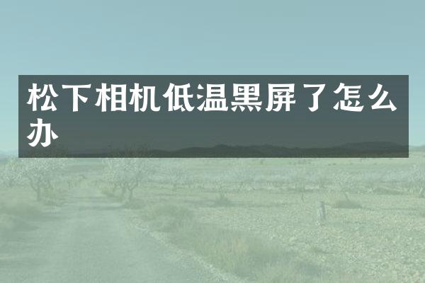 相机低温黑屏了怎么办