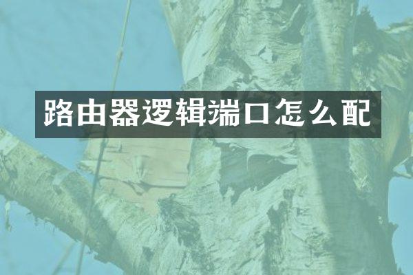 路由器逻辑端口怎么配