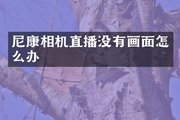 尼康相机直播没有画面怎么办