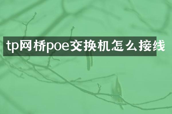 tp网桥poe交换机怎么接线