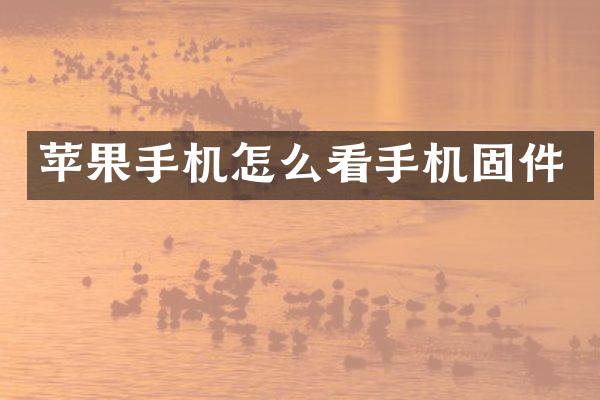 苹果手机怎么看手机固件