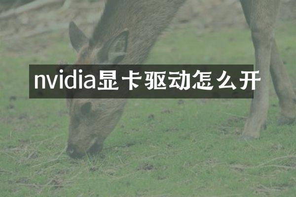 nvidia显卡驱动怎么开