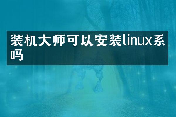 装机大师可以安装linux系统吗