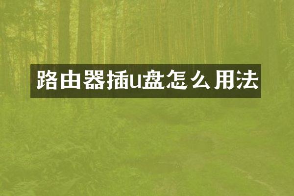 路由器插u盘怎么用法