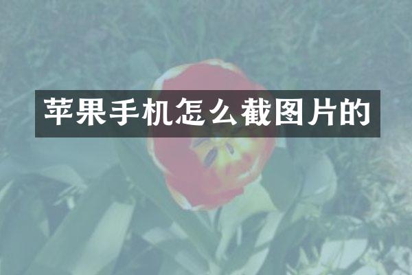 苹果手机怎么截图片的