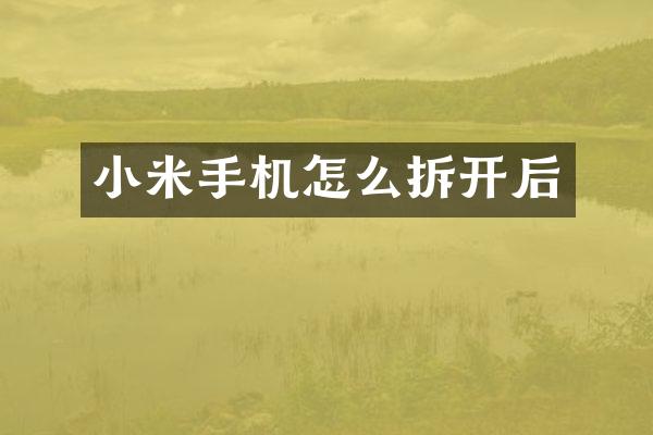 小米手机怎么拆开后