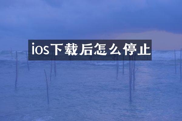 ios下载后怎么停止