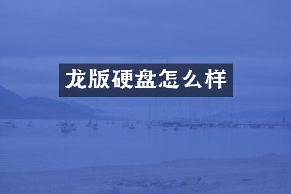龙版硬盘怎么样